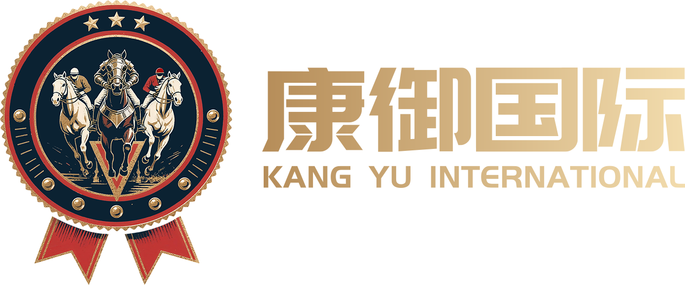 康御国际 Logo